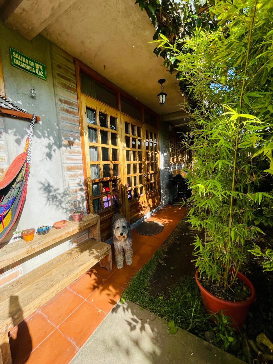 Patio, Day, Garden, Garden view