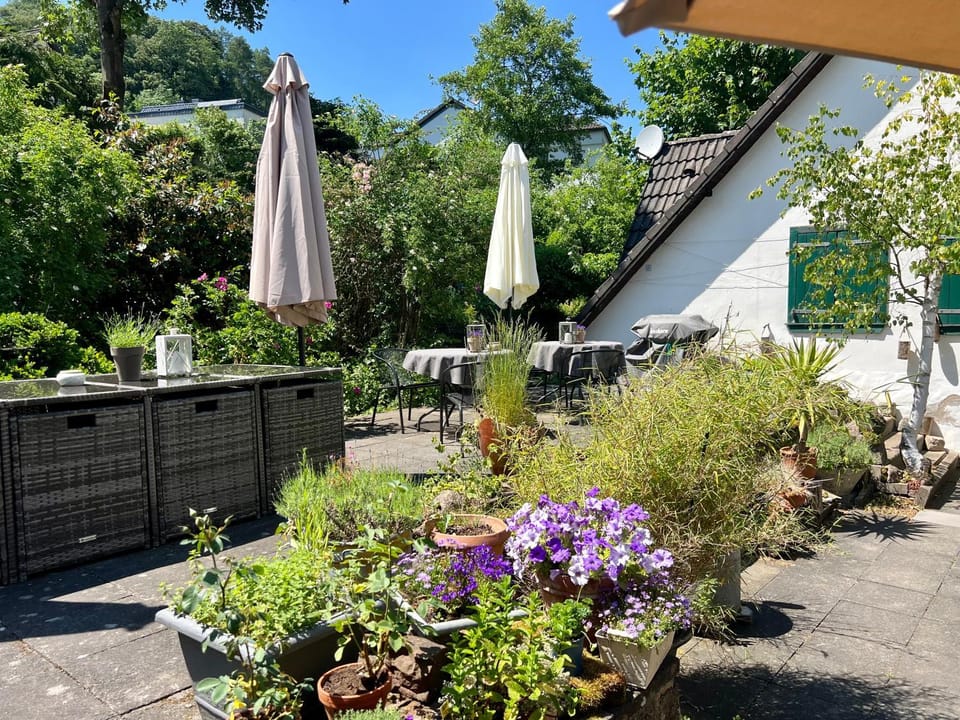 Patio, Spring, Garden, Garden view
