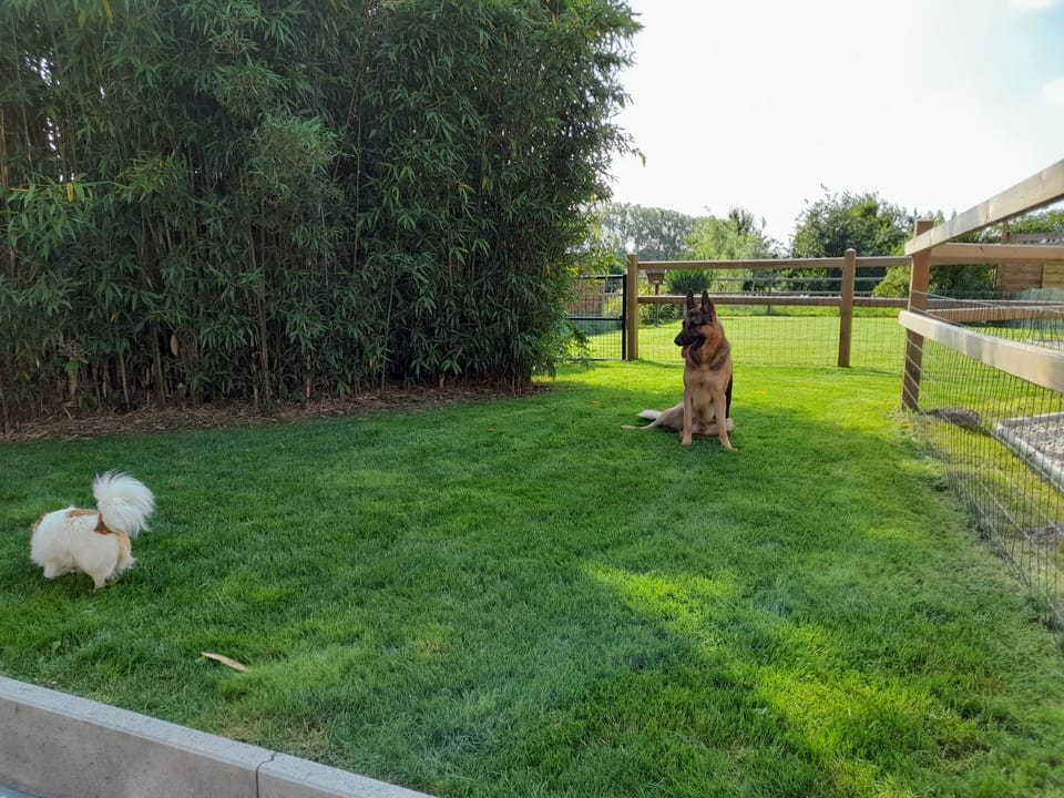 Garden, Pets