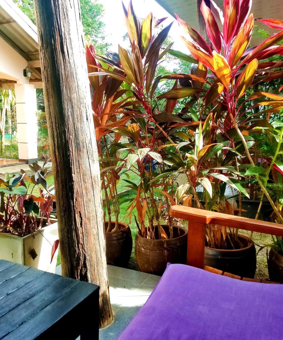 Day, Garden, Garden, Balcony/Terrace, Garden view