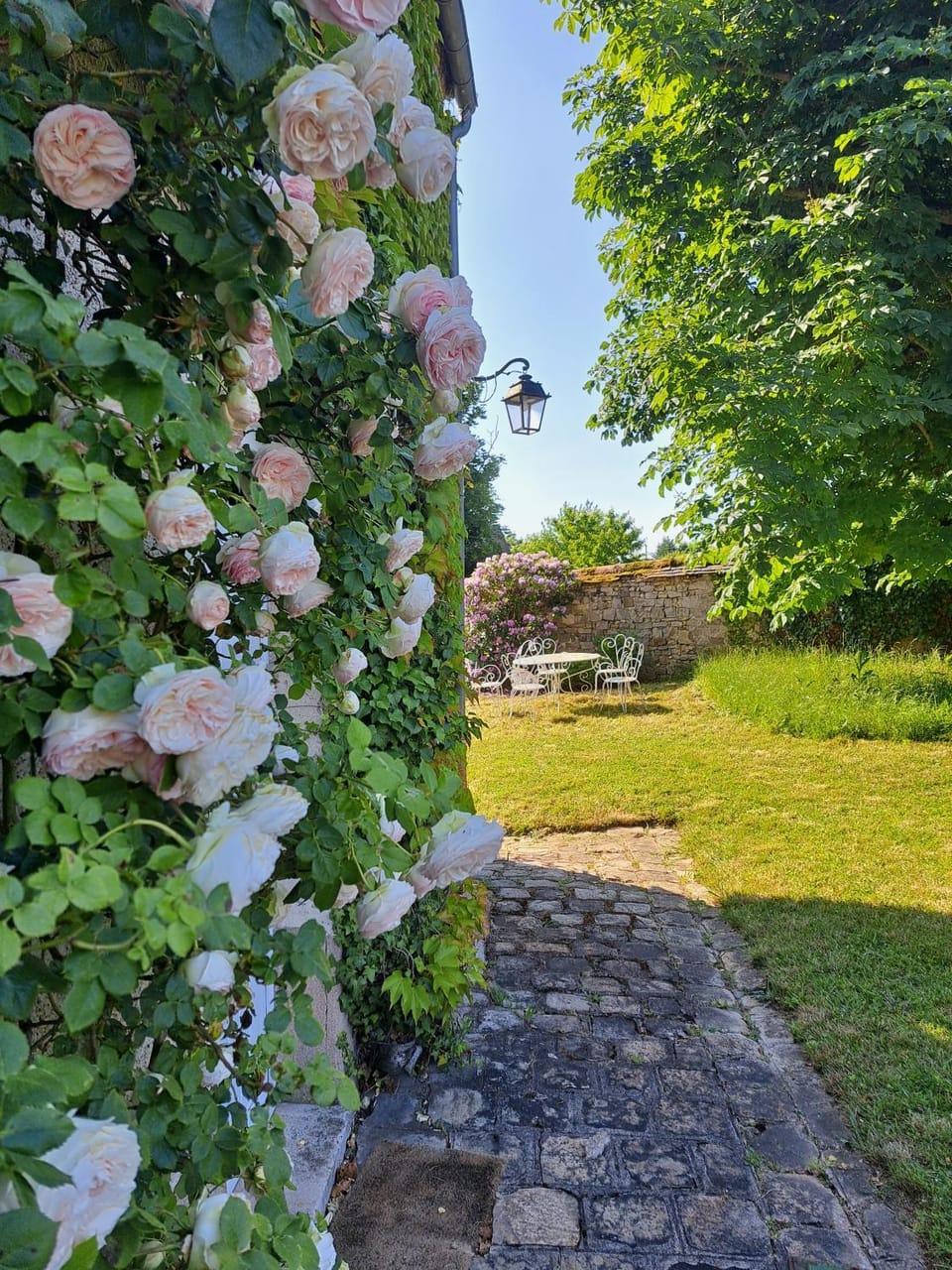 Garden view