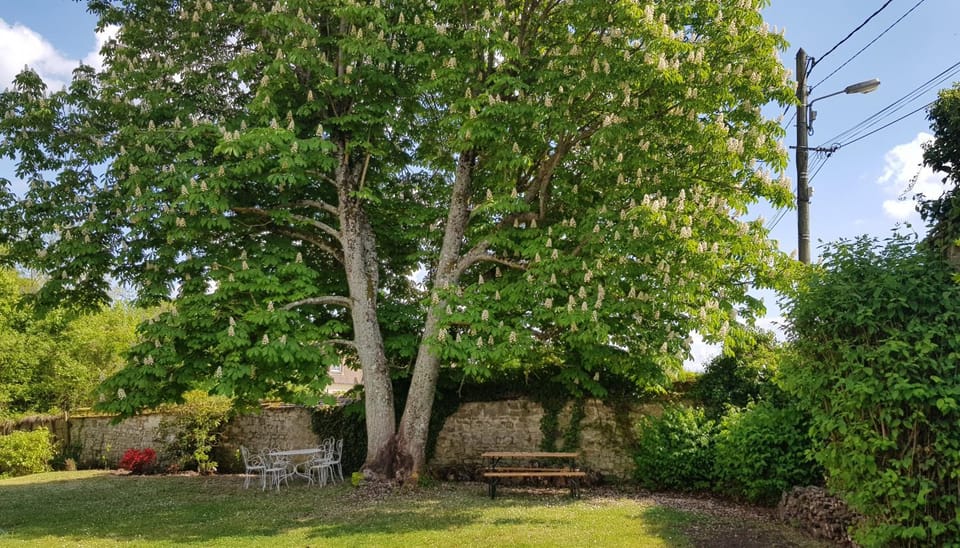 Property building, Spring, Summer, Garden, Garden view
