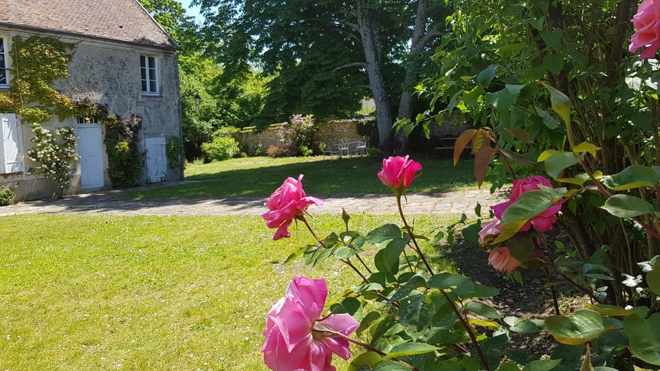 Facade/entrance, Spring, Summer, Garden