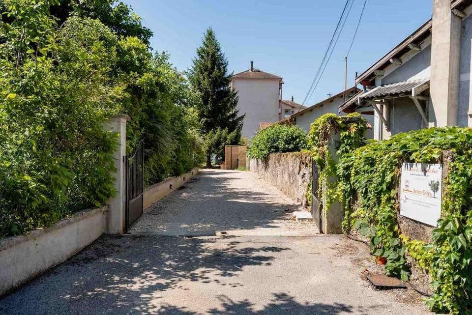 Spring, Day, Street view