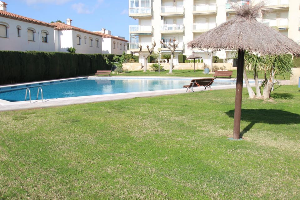Patio, Garden, Garden view