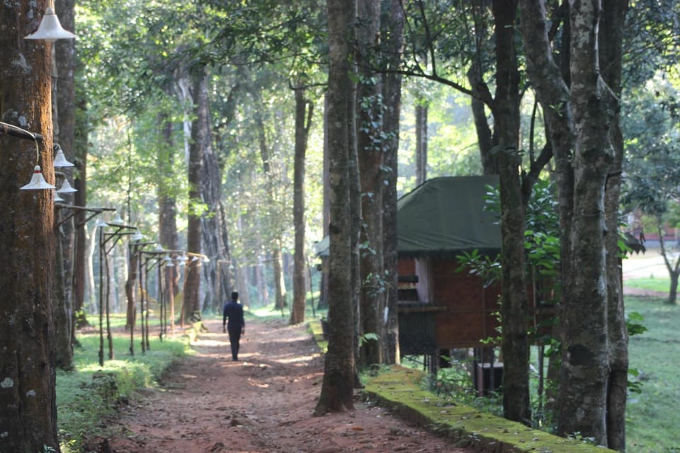 Natural landscape, Garden