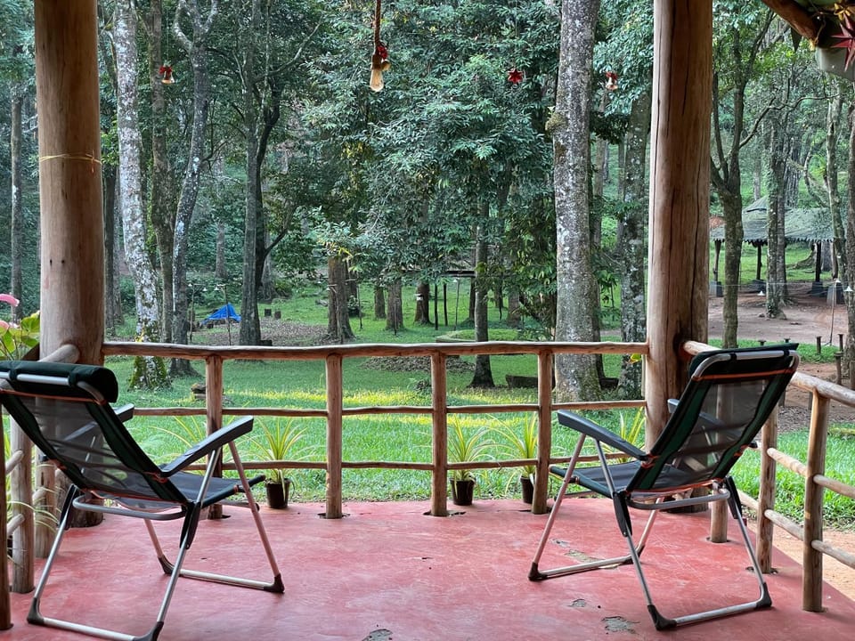 Garden, Dining area, Garden view