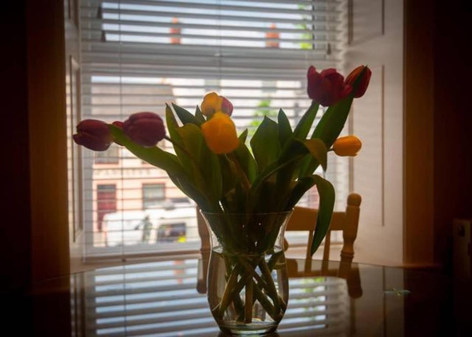 Church Lane Holiday Home, Warrenpoint Bed and Breakfast in Warrenpoint