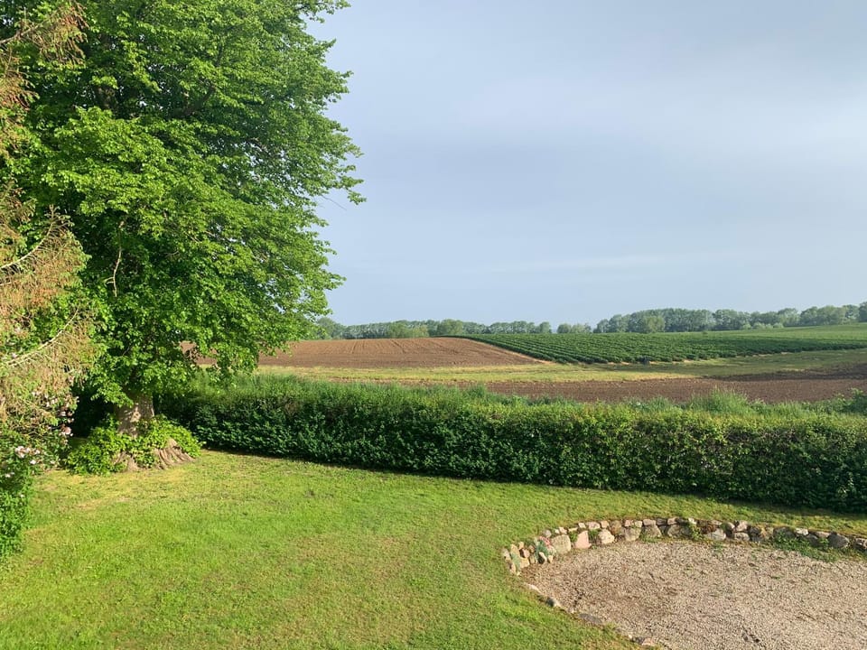 Natural landscape, Garden