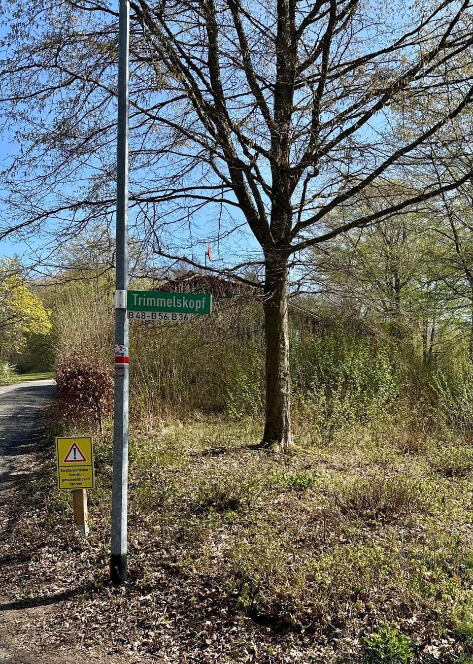 Natur Pur - Waldurlaub im Tiny House House in Hesse
