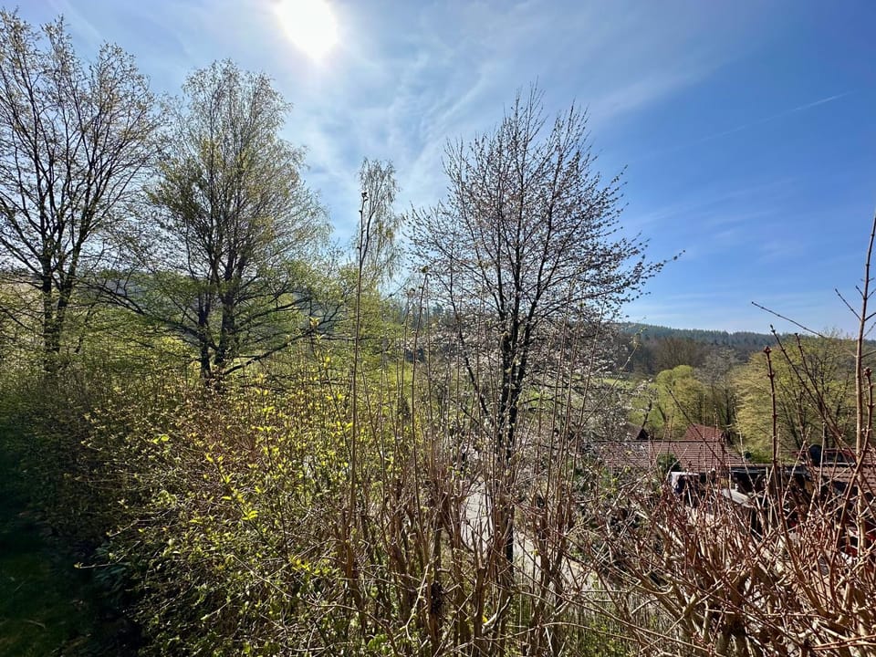 Natur Pur - Waldurlaub im Tiny House House in Hesse