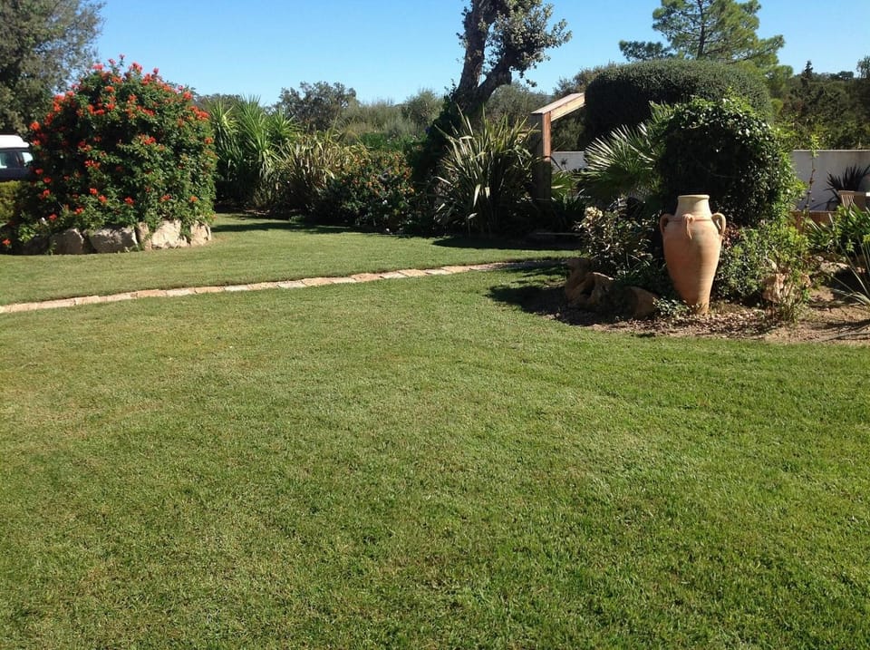 Property building, Garden