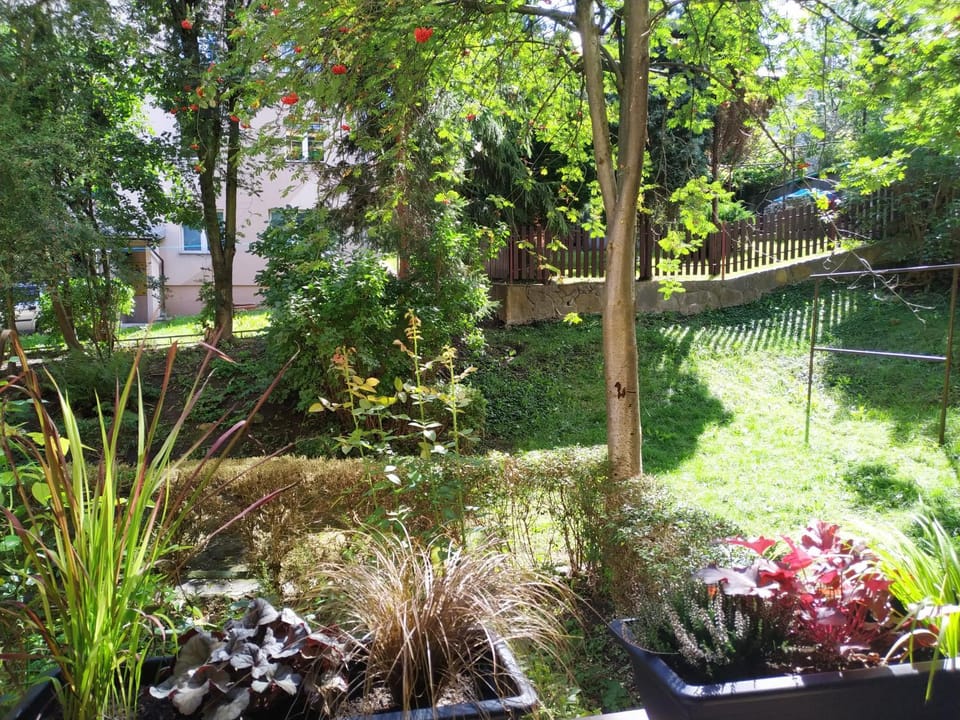Apartament Skrytka Apartment in Lviv Oblast