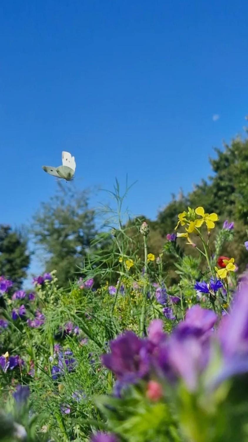 Agroturystyka Lucyna Babińska Vacation rental in Lower Silesian Voivodeship