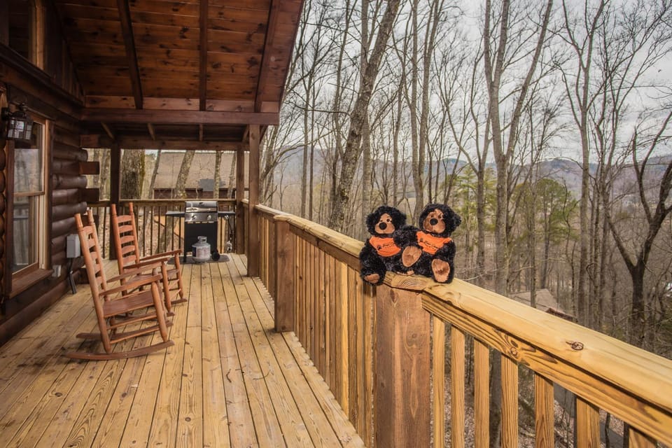 Beary Cozy - Hot Tub, Fireplace, Free attraction Tickets!!! Chalet in Sevier County