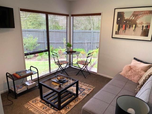 Studio, Quiet location, Central to city Vacation rental in Hamilton