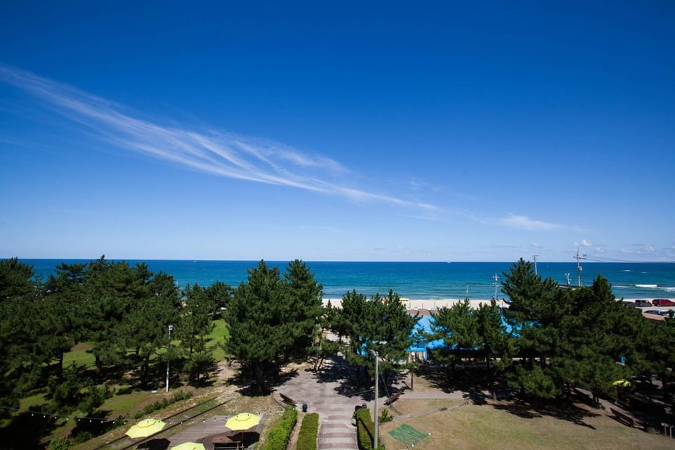 Garden, Beach, Swimming pool