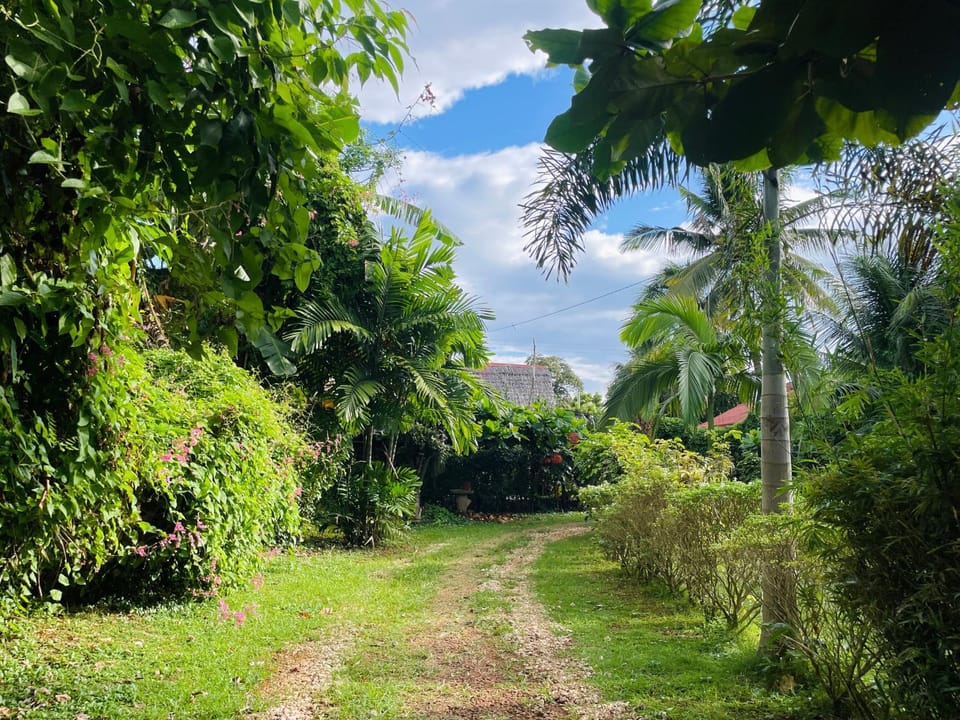 travis homestay Bed and Breakfast in Central Visayas