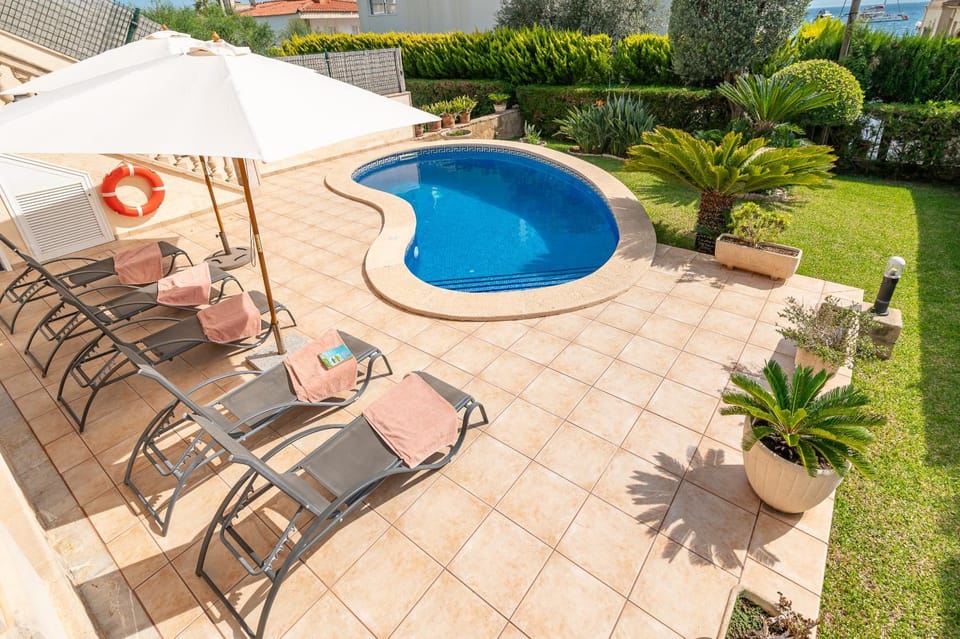 Patio, Day, Garden, Garden view, Pool view, Swimming pool, sunbed