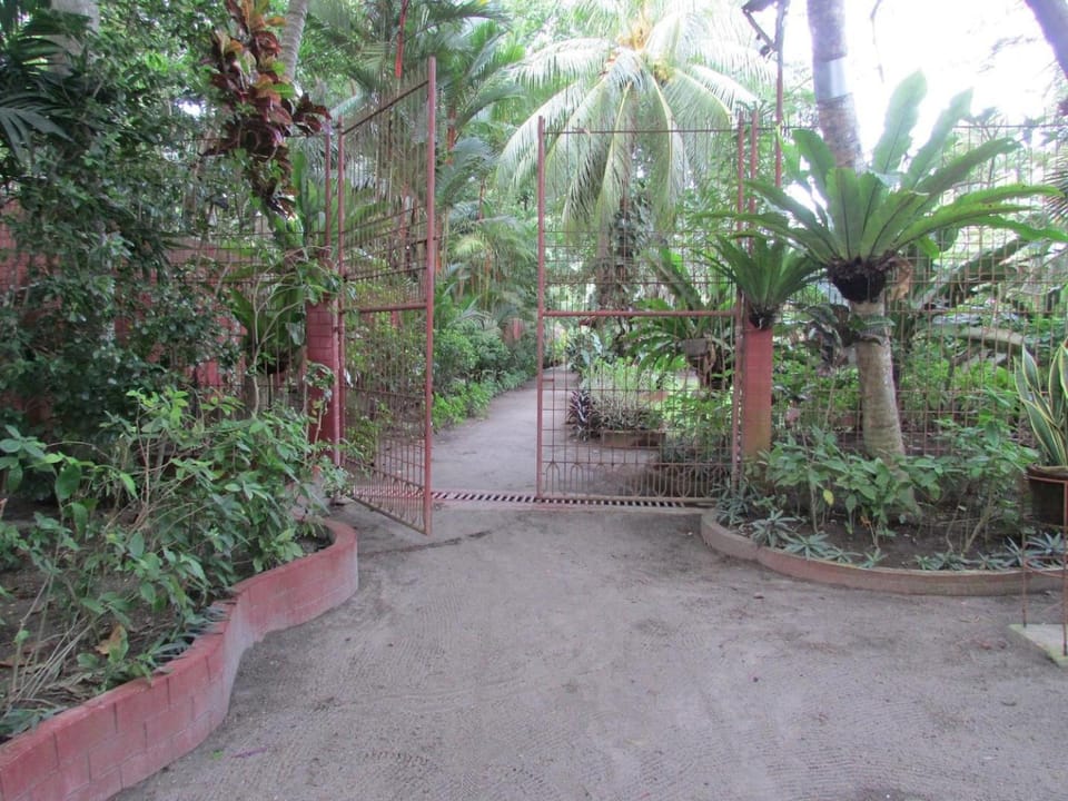 Garden, Garden view