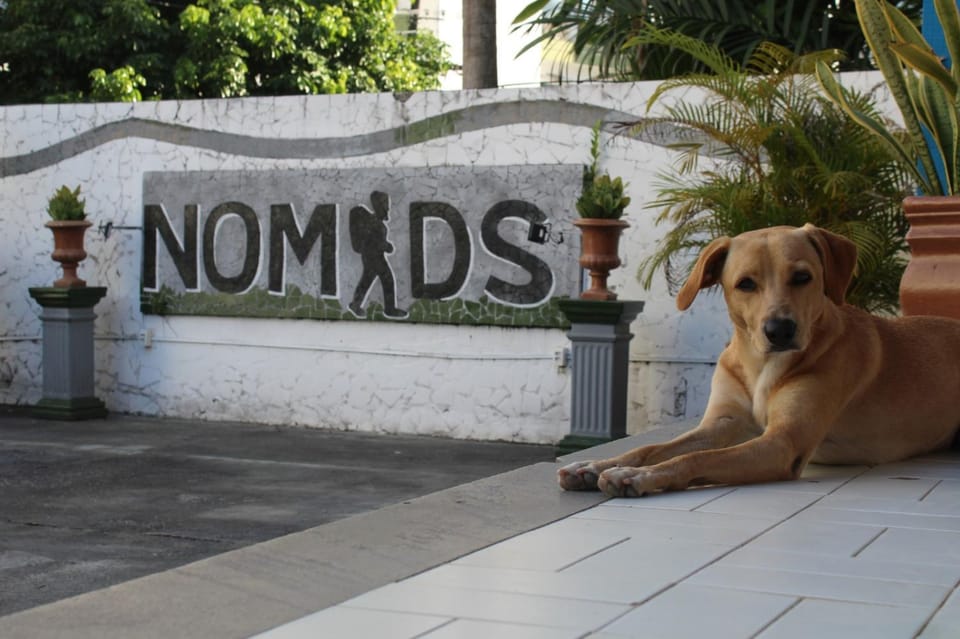 Nomads Hostel Multicultural & Coworking Hostel in Salvador
