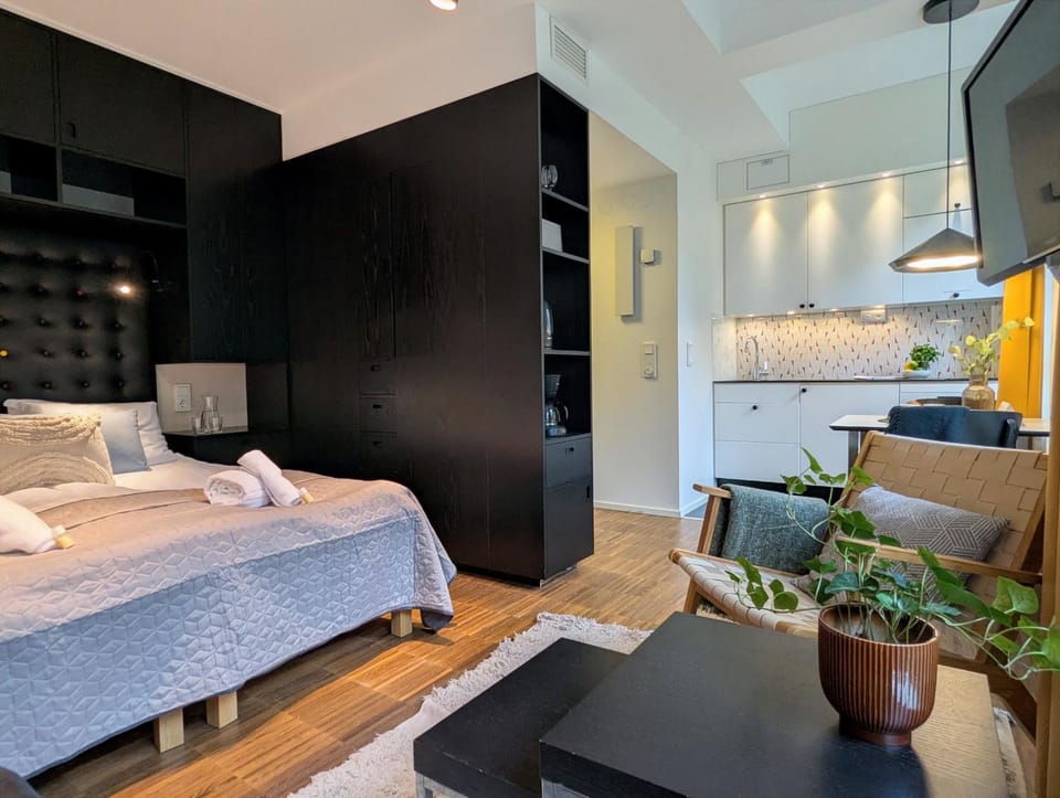 Bed, TV and multimedia, Kitchen or kitchenette, Photo of the whole room, Seating area, Bedroom
