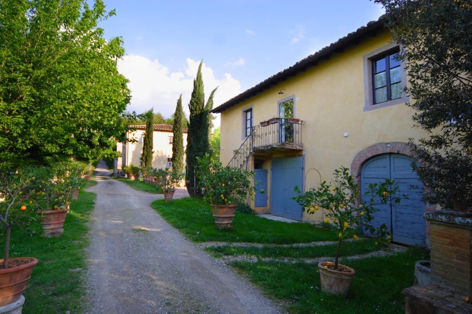 Property building, Facade/entrance, Garden