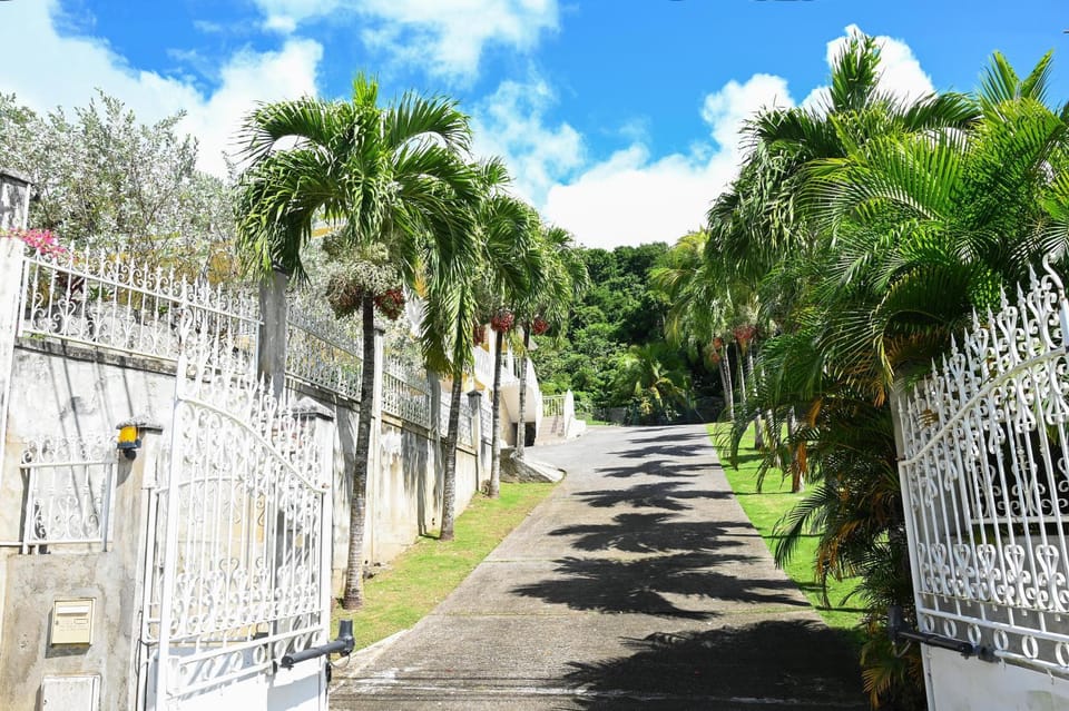 Property building, Natural landscape, Garden