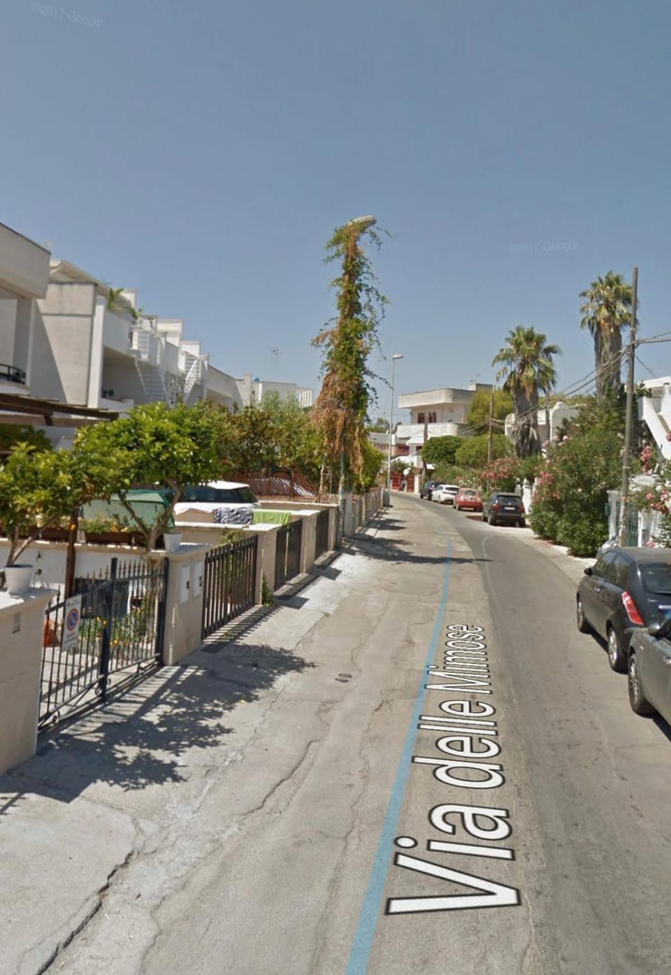 Street view