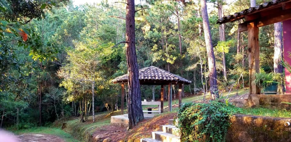 BBQ facilities