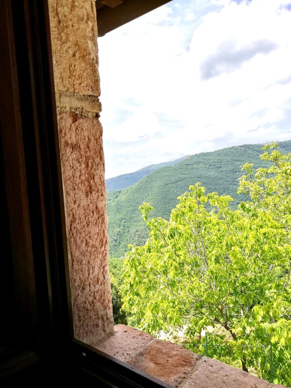 Mountain view