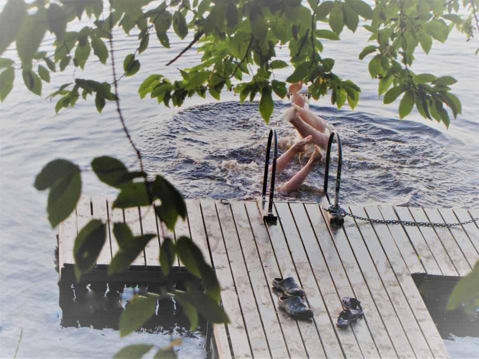Natural landscape, Activities, Summer, Fishing, Garden, Sauna, Beach, Diving, River view, Swimming pool, group of guests