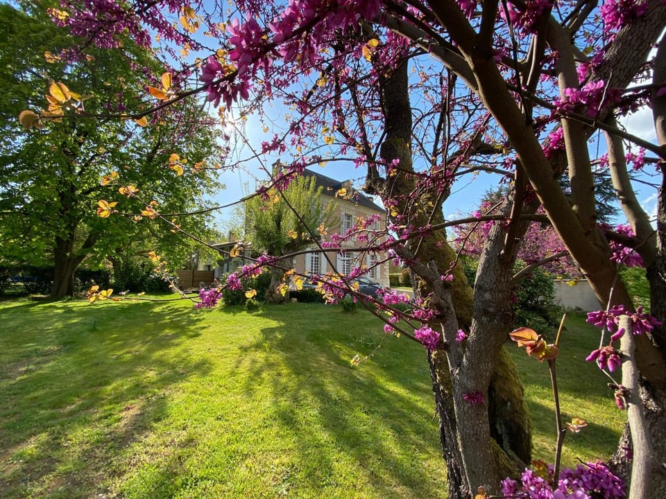 Spring, Natural landscape, Garden, Garden view