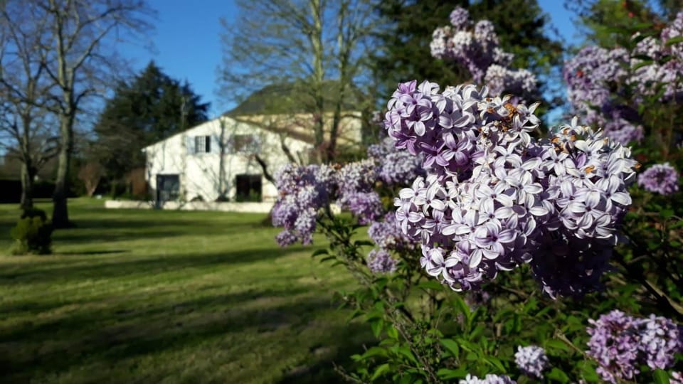 Property building, Spring, Natural landscape, Garden view