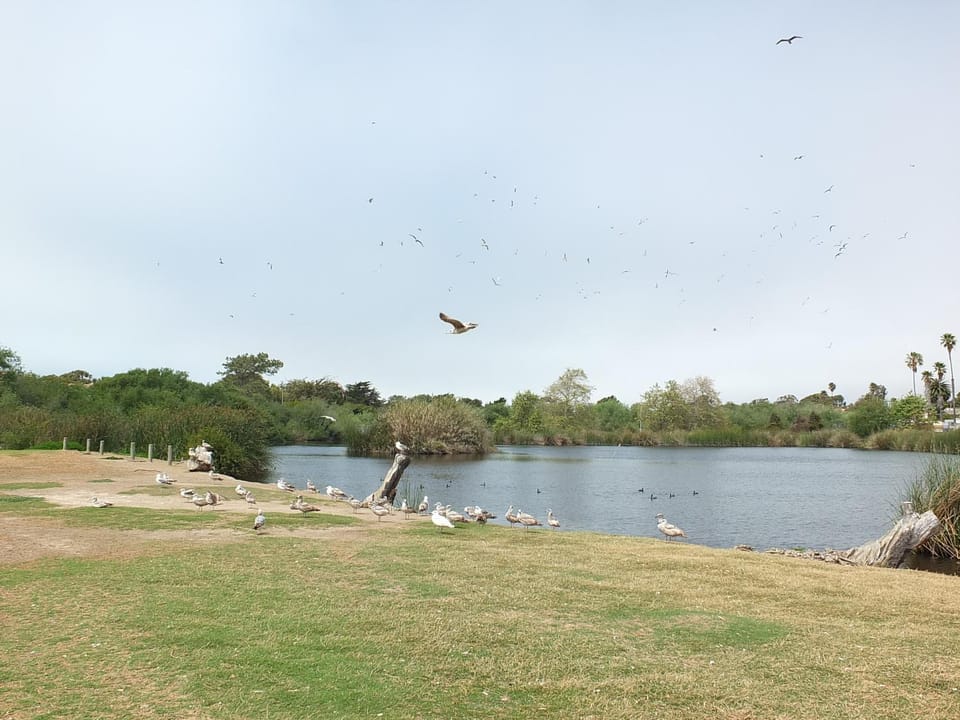 618 Airpark House in Oceano