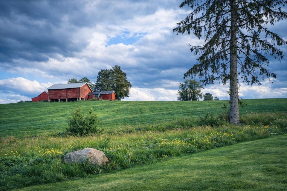 Natural landscape