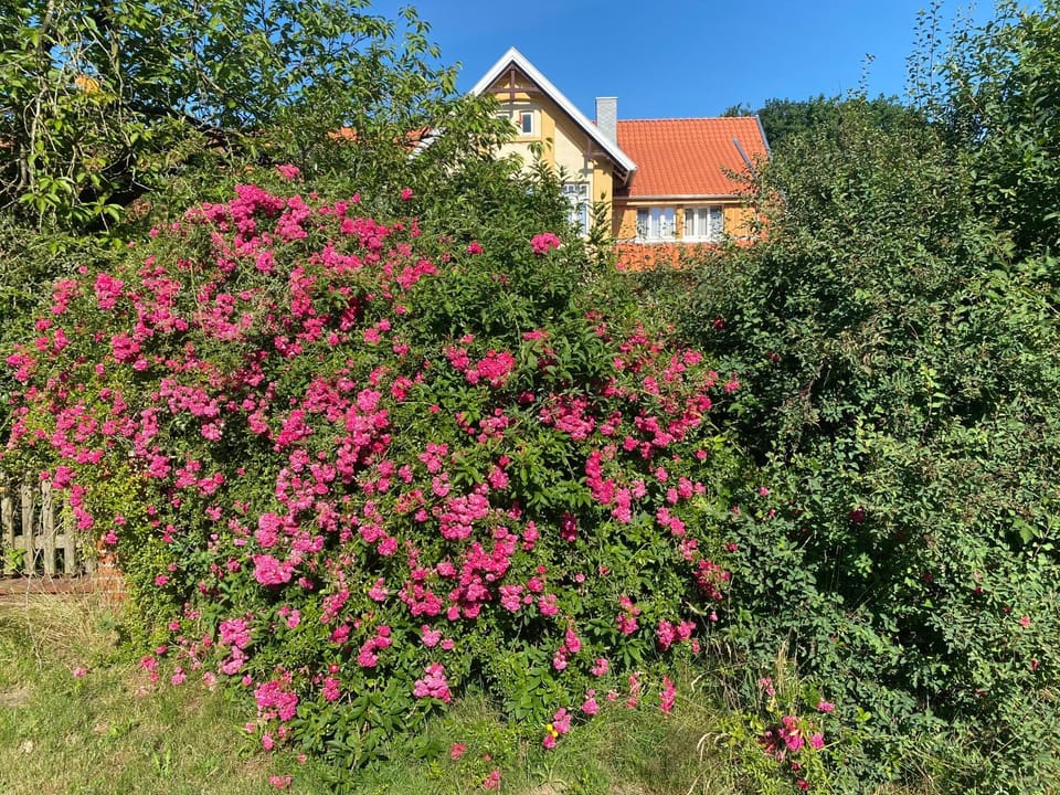 Neulandhof Spöring Apartment in Walsrode