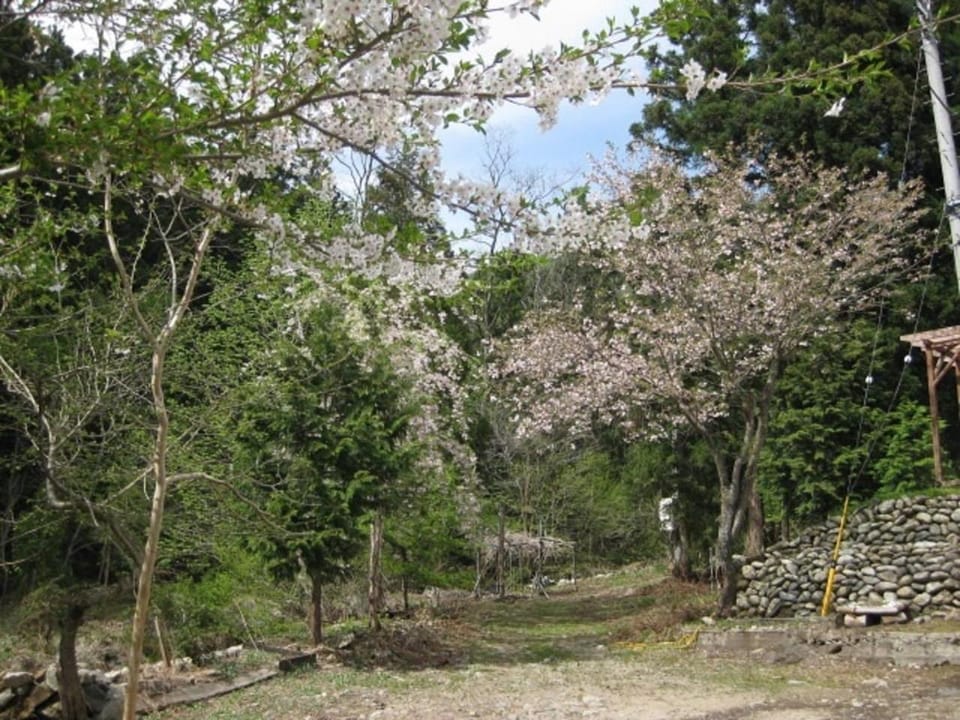 Tone-gun - Cottage / Vacation STAY 71171 House in Japan
