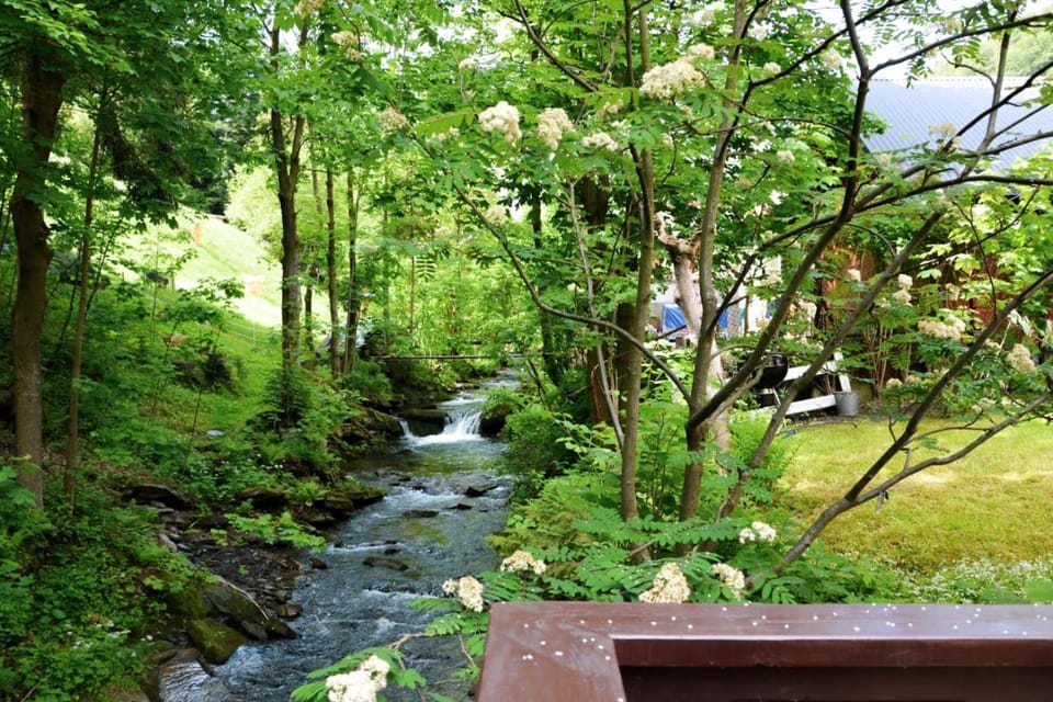 Garden, River view
