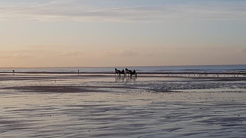 Cosy studio vue mer à Cabourg Apartment in Cabourg