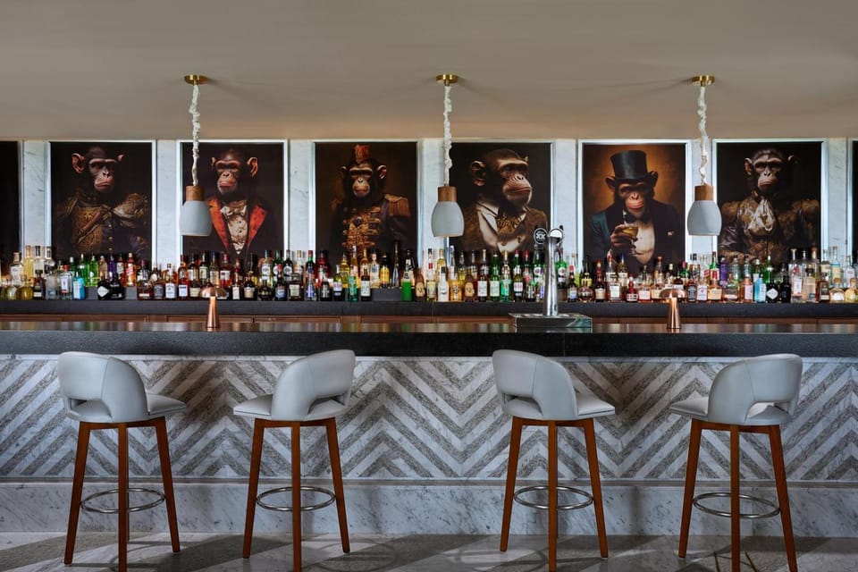 Lounge or bar, Drinks, Alcoholic drinks