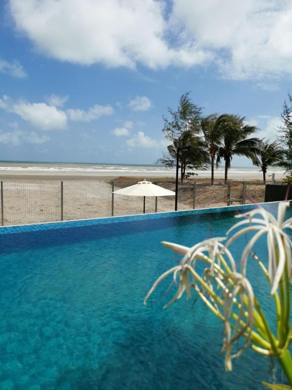 Pool view