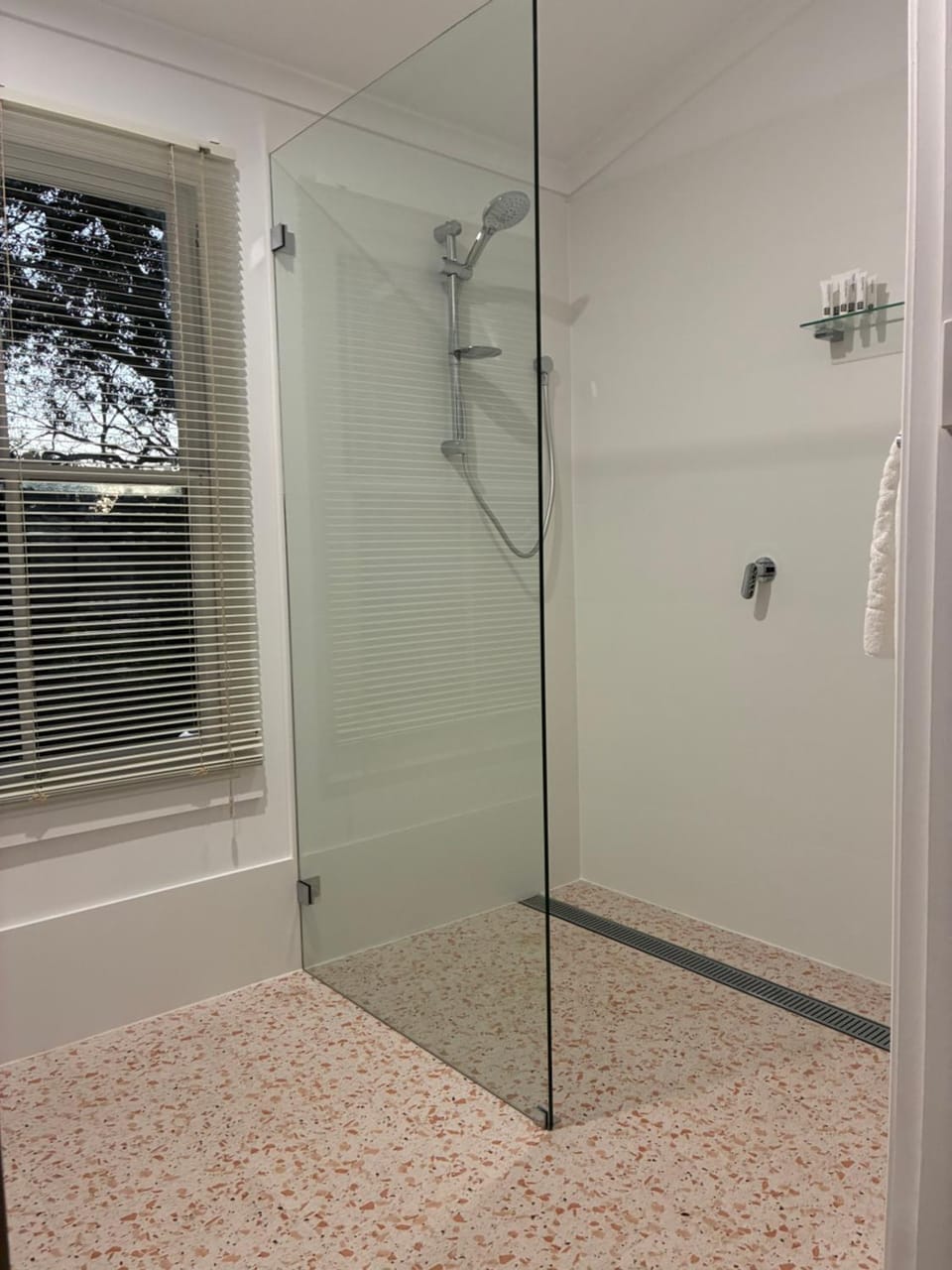 Shower, Facility for disabled guests