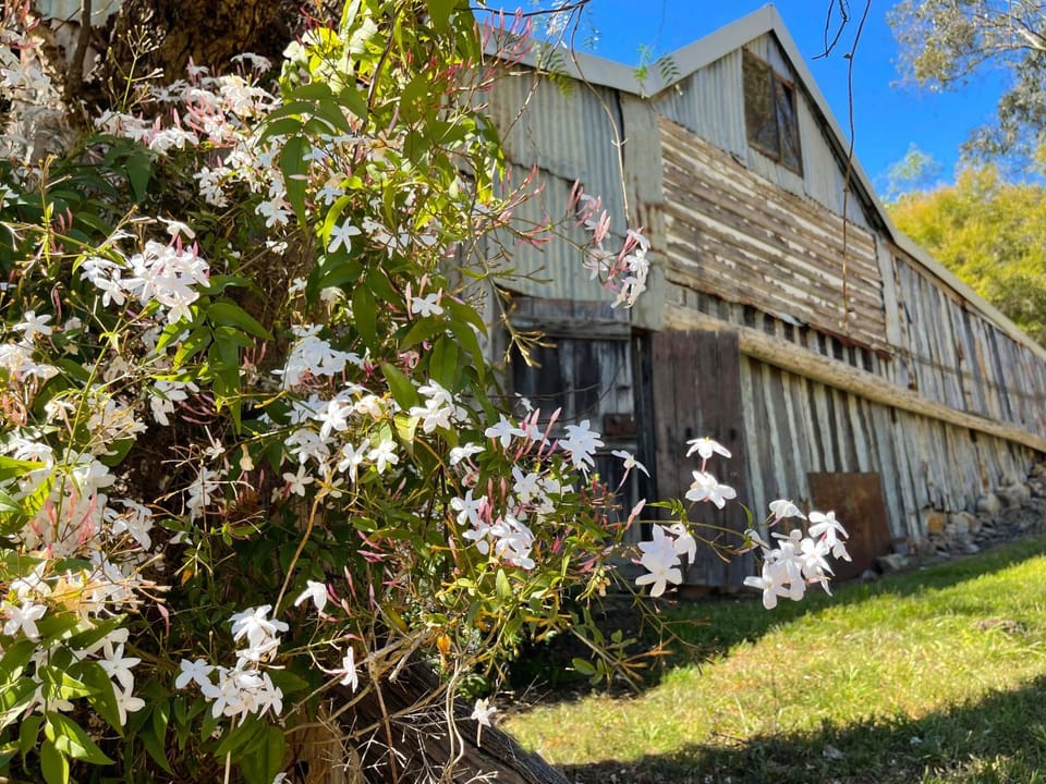 Spring