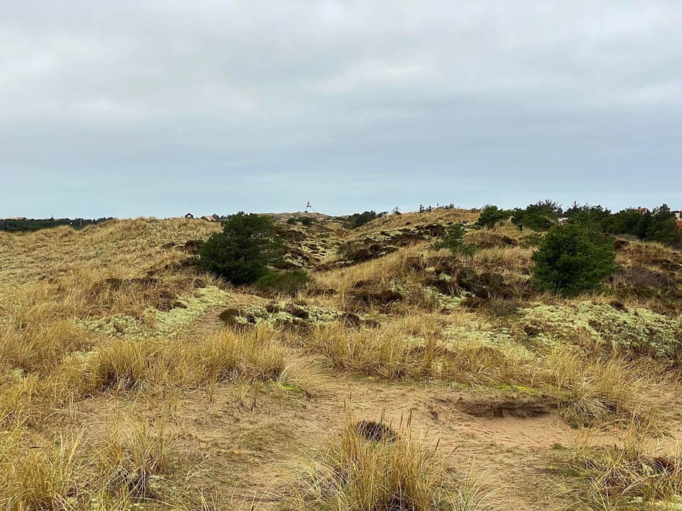 Natural landscape