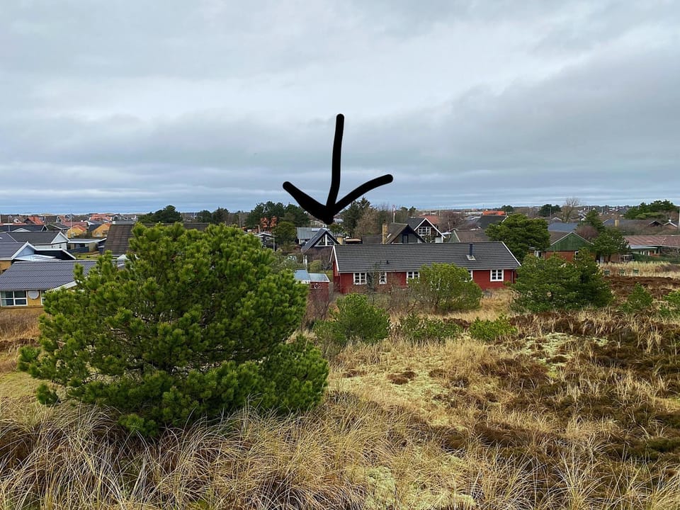 Natural landscape