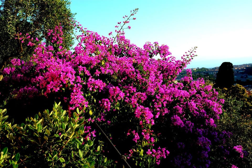 la gatta sul sentiero Bed and Breakfast in Liguria