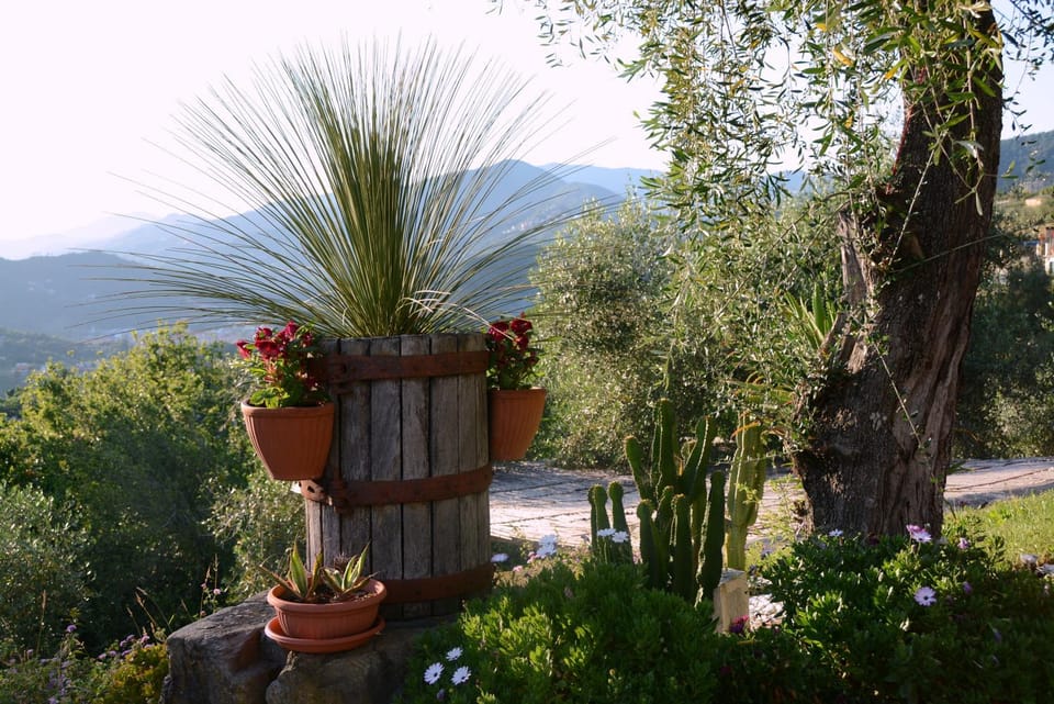 la gatta sul sentiero Bed and Breakfast in Liguria