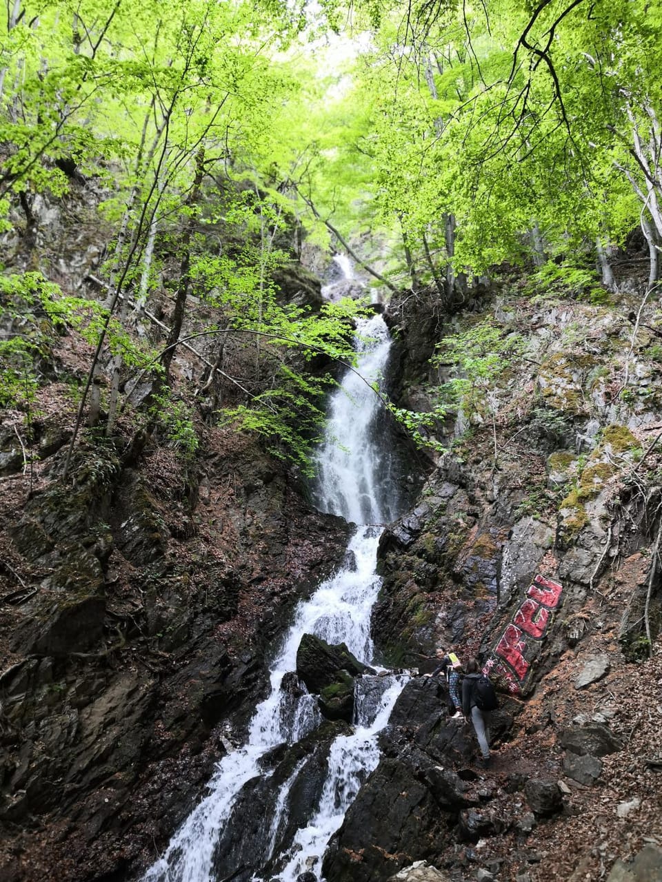 Spring, Off site, Day, Natural landscape, Hiking, Family