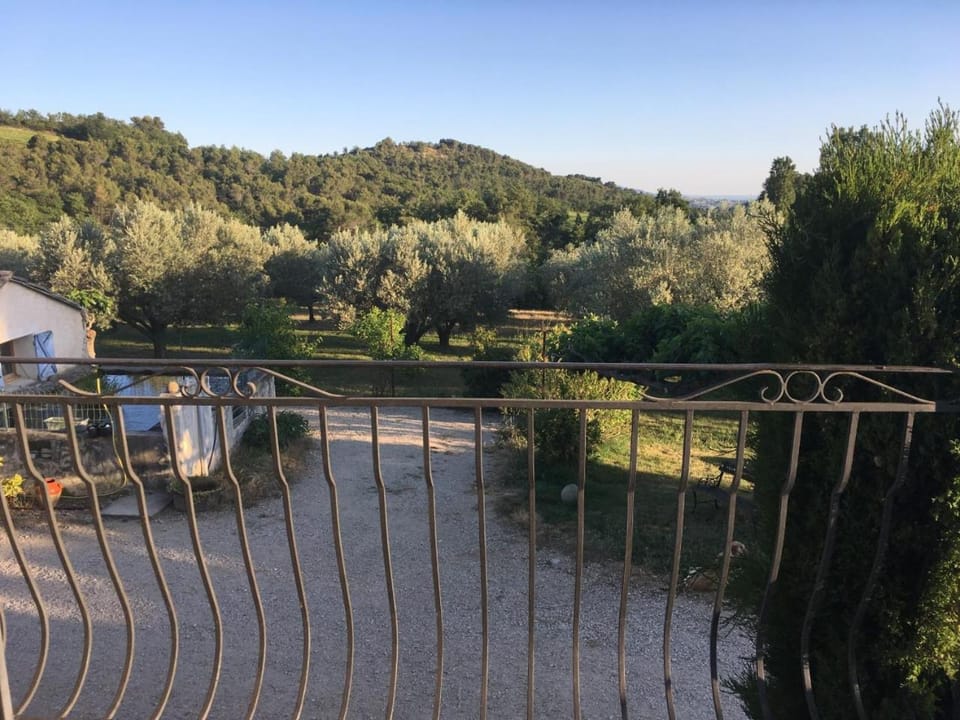 Balcony/Terrace, Garden view